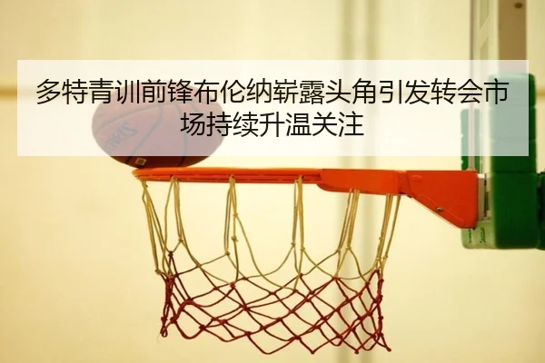 img_1781476811991_961_0_708.jpg